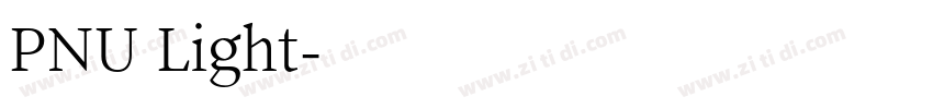 PNU Light字体转换